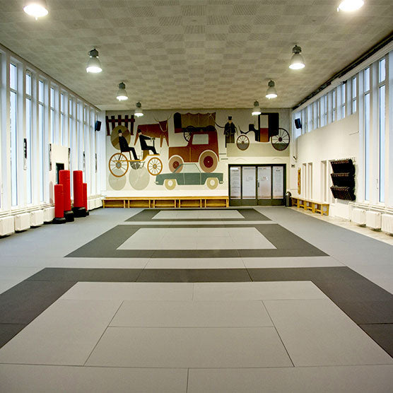 TATAMIS MMA ANTIDÉRAPANTS 200 x 100 cm