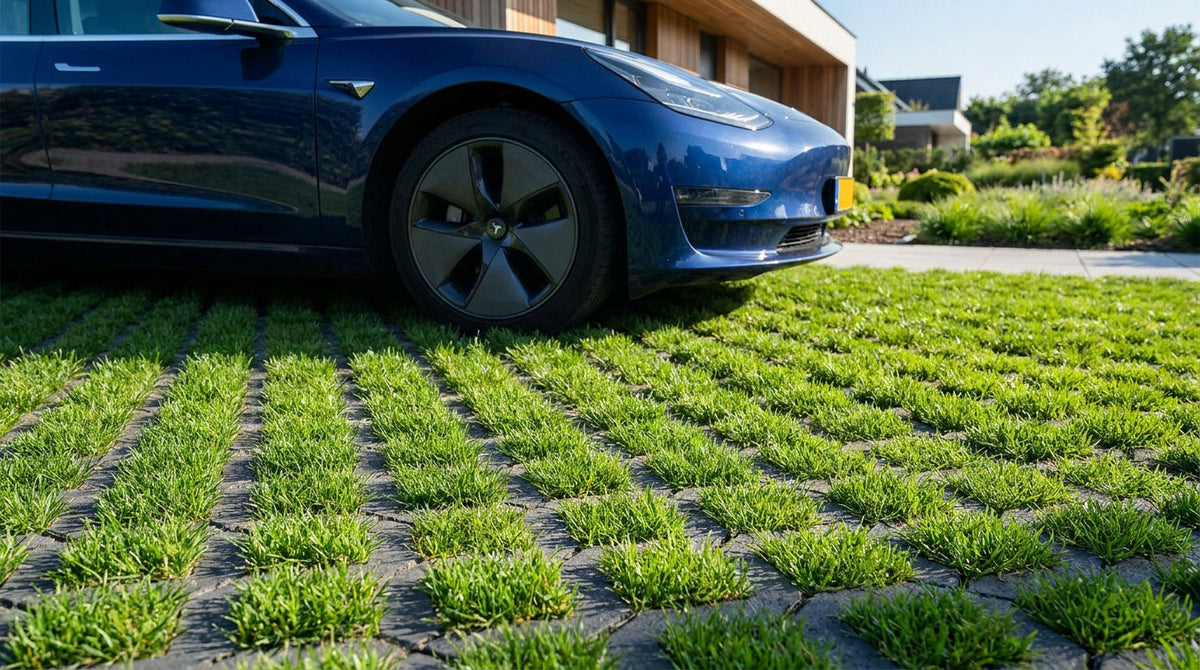 Voiture bleue stationnée sur une surface engazonnée en extérieur