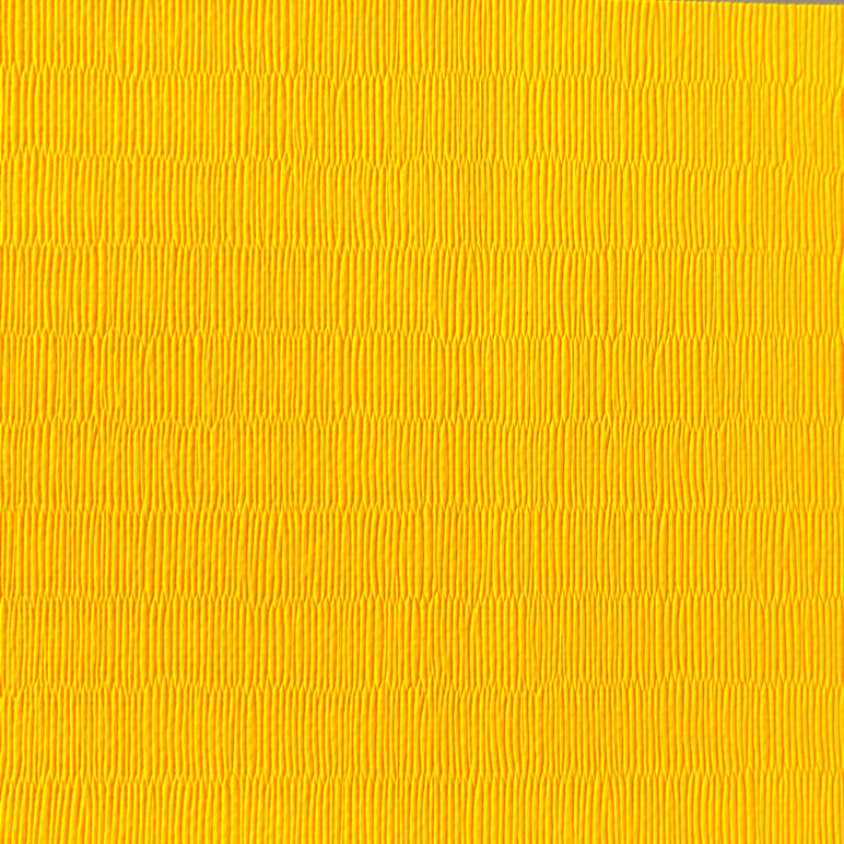 Tatami vinyle dessous nu 200 x 100 cm, judo et arts martiaux