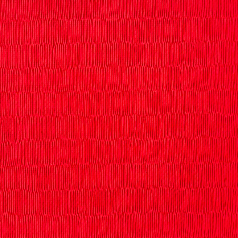 Tatami vinyle antidérapant 200 x 100 cm — rouge · judo et arts martiaux