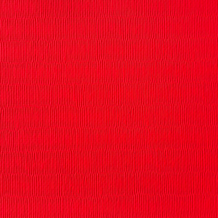 Tatami vinyle antidérapant 200 x 100 cm — rouge · judo et arts martiaux