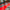 DALLE MOSAIK PVC ∙ ROUGE