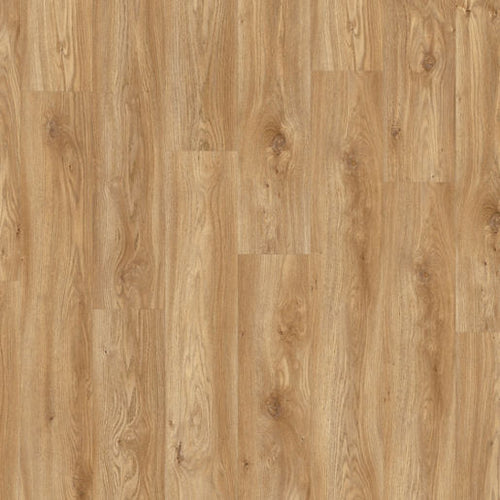 Lame vinyle plombante Sierra Oak 58346