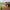 MOSAIK HEAVY - INB-AGRI