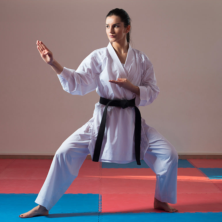TAPIS PUZZLE Martial arts