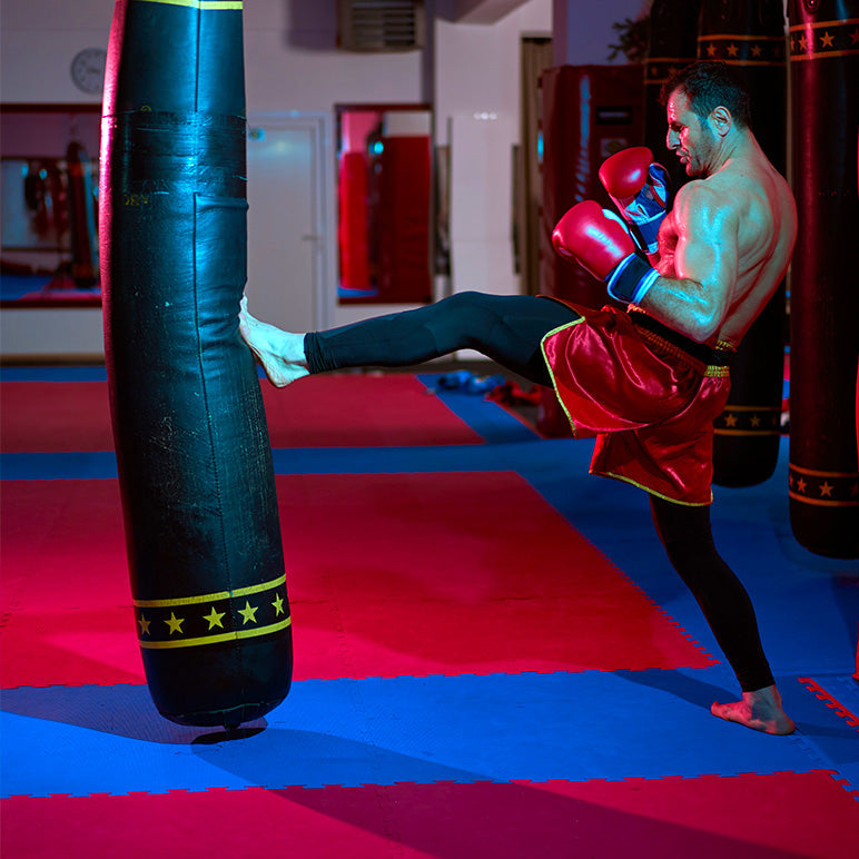 TAPIS PUZZLE Martial arts