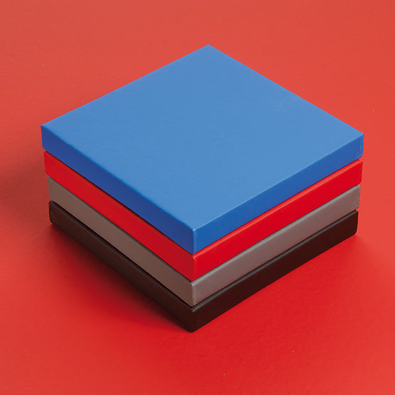 TATAMI ANTI-DERAIL MMA 200 x 100 cm