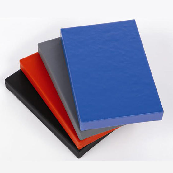 TATAMI ANTI-DERAIL MMA 200 x 100 cm